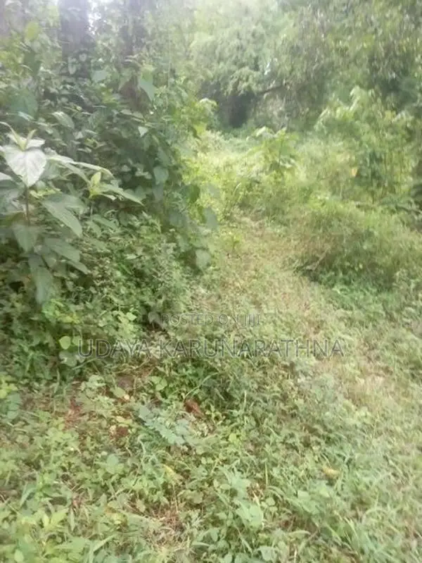 Land for Sale Hibutana