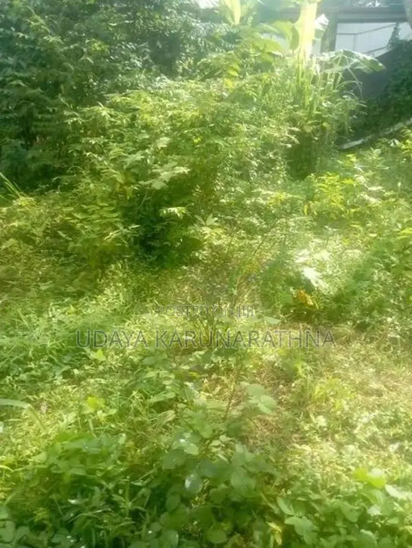 Land for Sale Hibutana