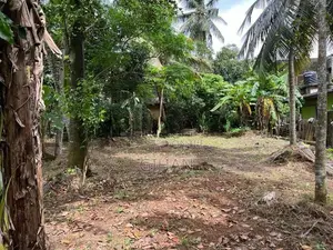 Valuable Residential Land for Sale Near Base Hospital Homagama