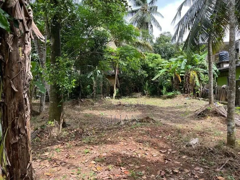 Valuable Residential Land for Sale Near Base Hospital Homagama