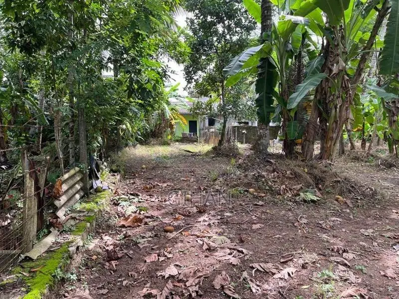 Valuable Residential Land for Sale Near Base Hospital Homagama