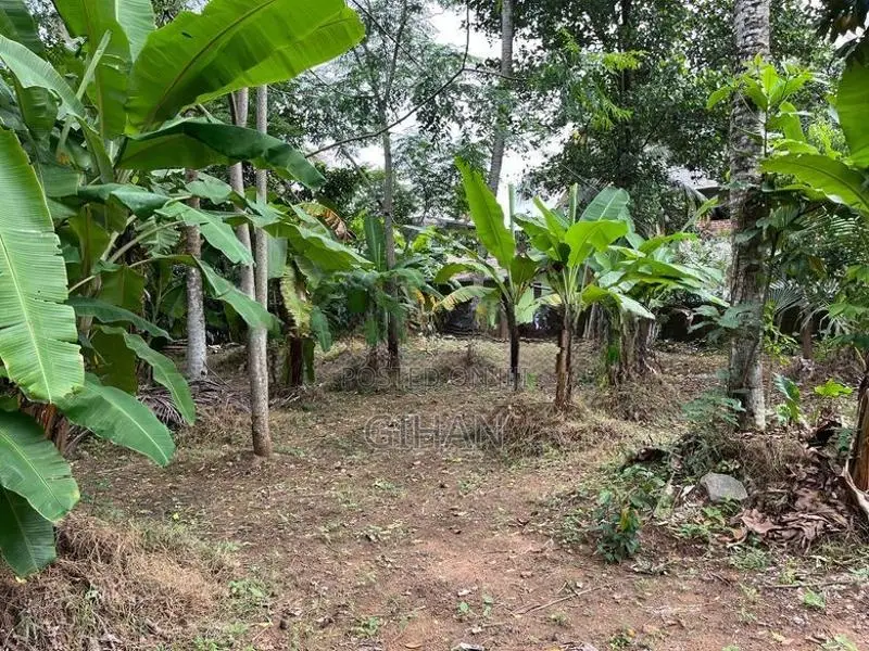 Valuable Residential Land for Sale Near Base Hospital Homagama