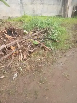 Land four sale wallampitiya
