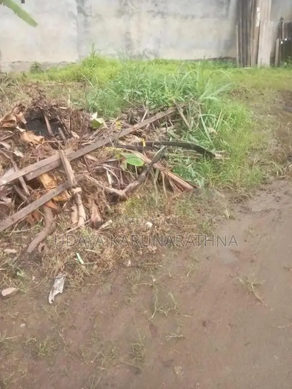 Land four sale wallampitiya