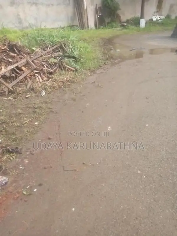 Land four sale wallampitiya