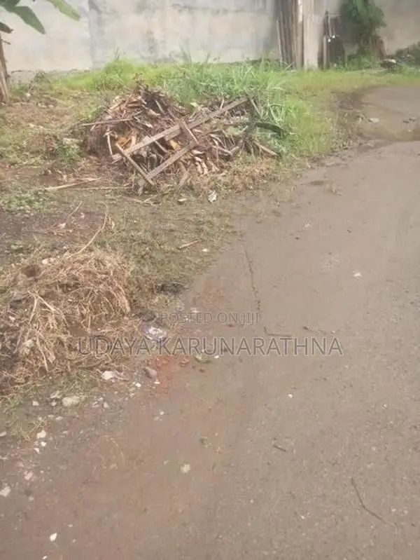 Land four sale wallampitiya