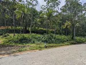 හබරාදුව පාරෙන් බිම් කොටස්