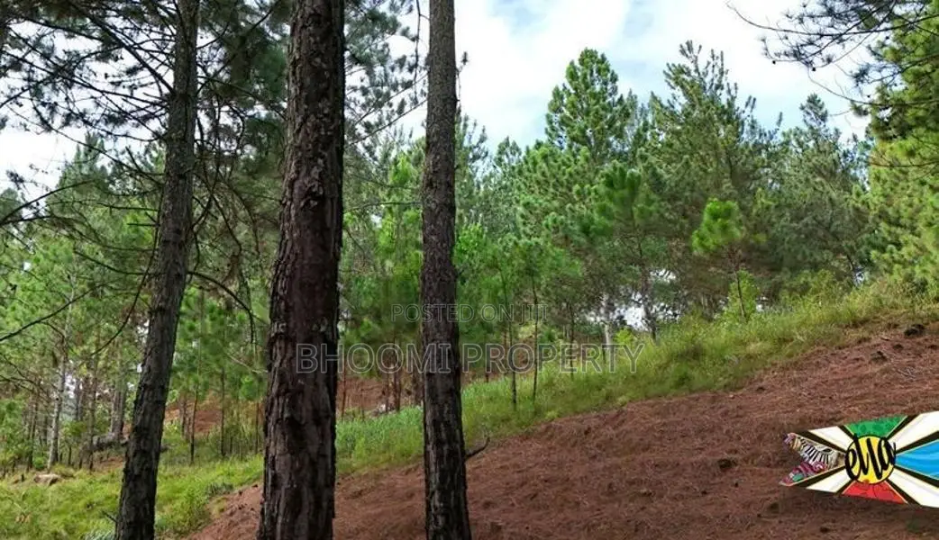 Land for sale in Ella