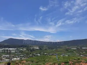 Beautiful Land for Sale Nuwaraeliya