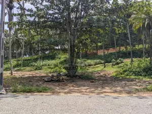 හබරාදුව පාරෙන් බිම් කොටස්