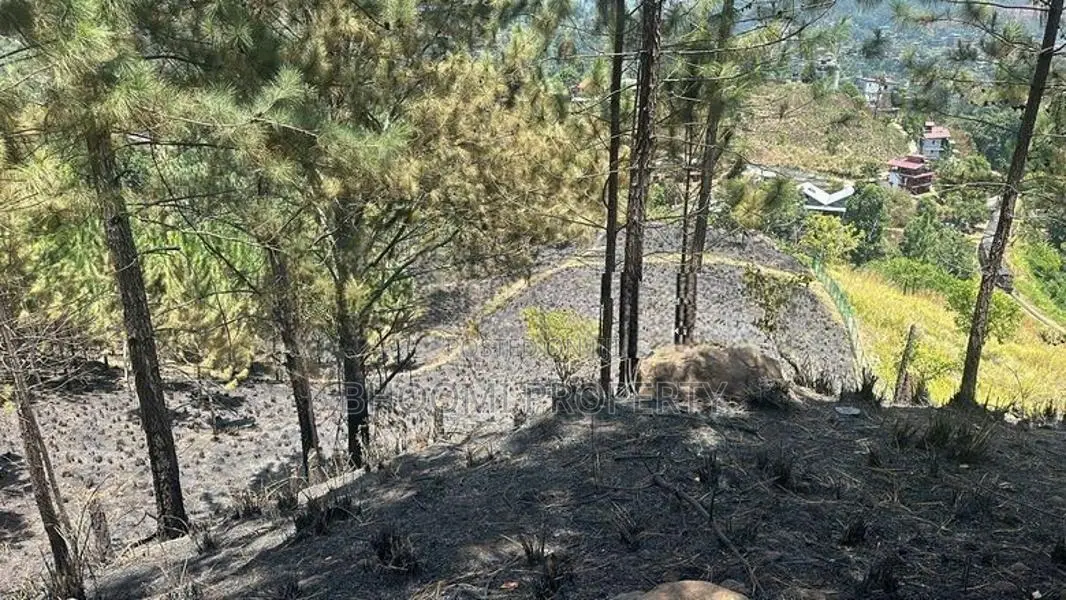 Land for sale in Ella