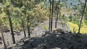 Land for sale in Ella
