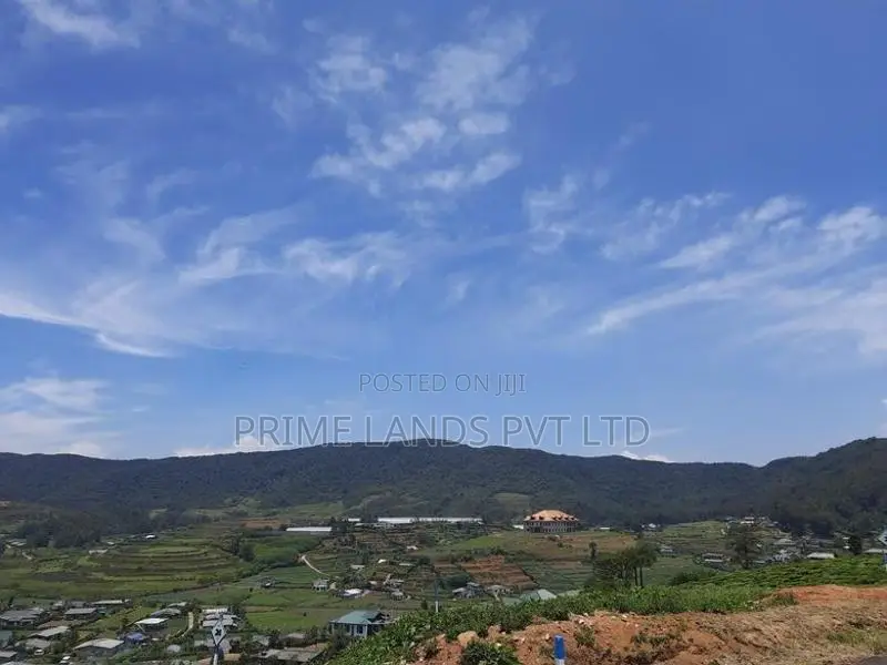 Beautiful Land for Sale Nuwaraeliya