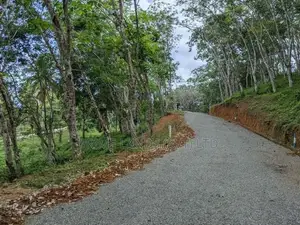 හබරාදුව දික්කුඹුර පාරෙන් බිම් කොටස්