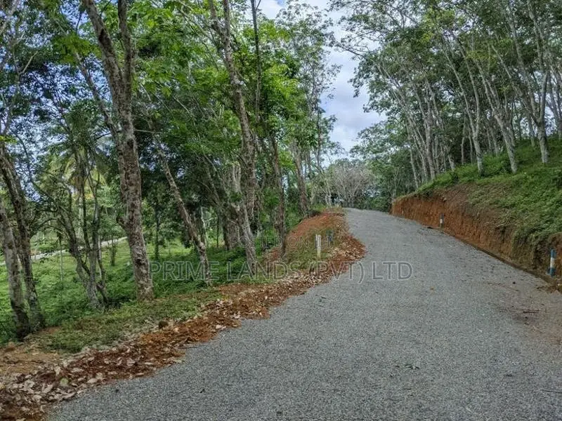 හබරාදුව දික්කුඹුර පාරෙන් බිම් කොටස්