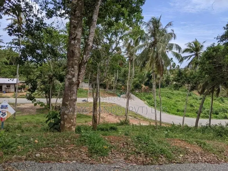 හබරාදුව පාරෙන් බිම් කොටස්