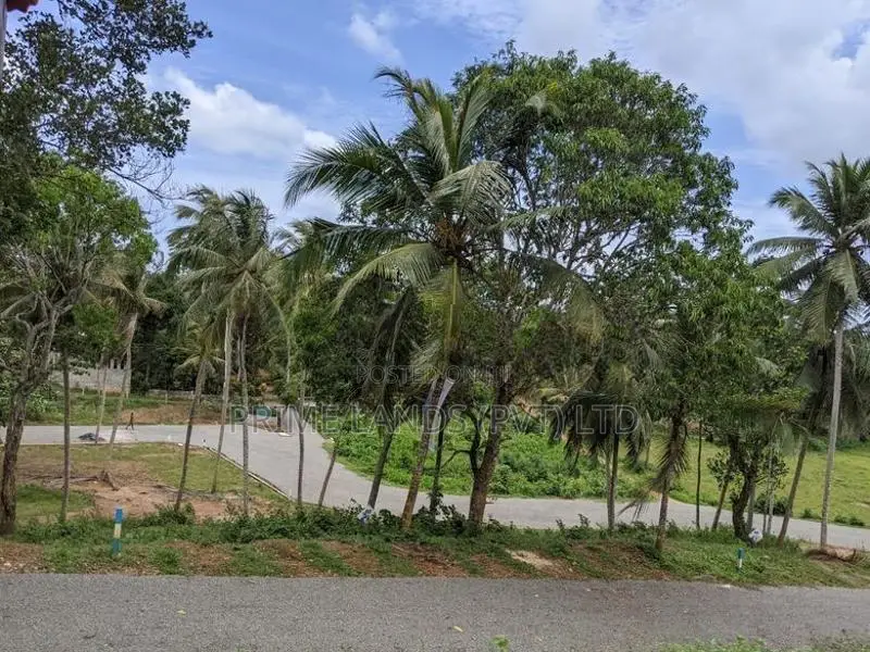 හබරාදුව දික්කුඹුර පාරෙන් බිම් කොටස්
