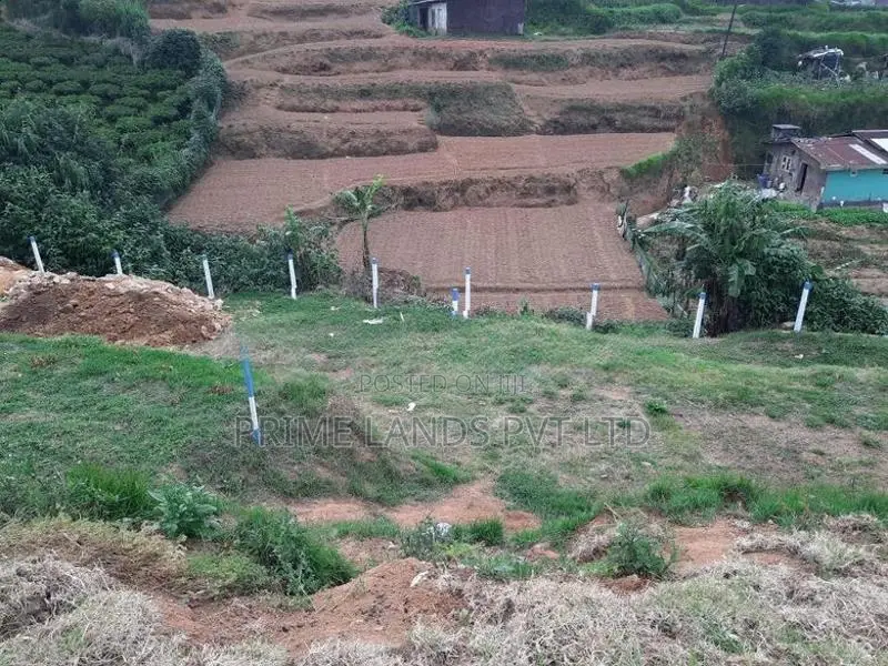 Beautiful Land for Sale Nuwaraeliya