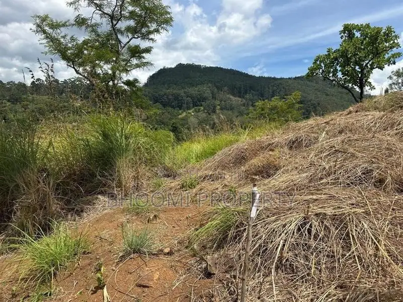 Land for sale in Ella