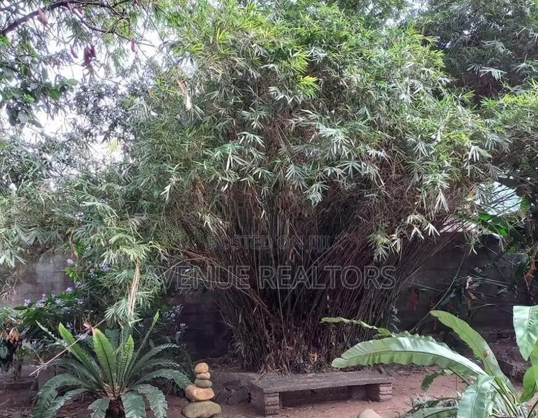 50 Perch Land with Bungalow for Sale in Maharagama (LA4700)