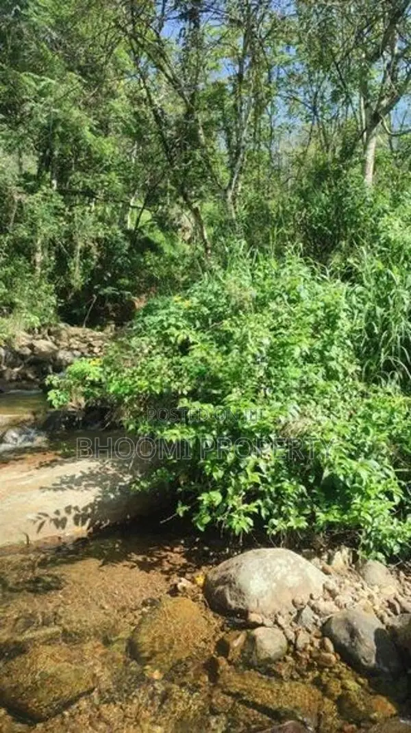 Land for sale in Haputale
