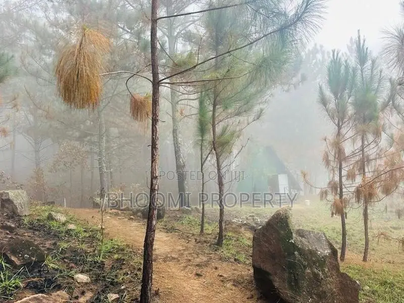 Land for sale in Ella