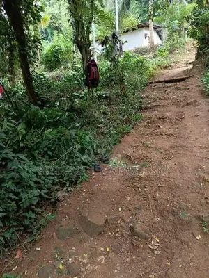 Agalawatta Land for Sale