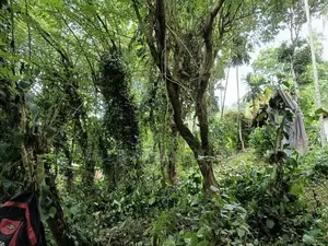Agalawatta Land for Sale