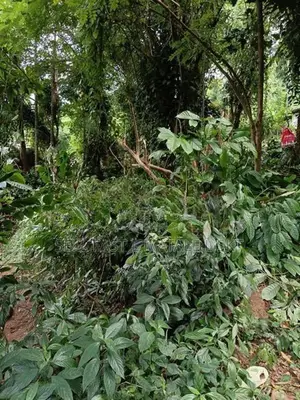 Agalawatta Land for Sale