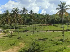 නාරම්මල නගරයට ආසන්නයේ ඉඩමක්