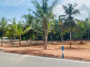 Land for Sale Kandana
