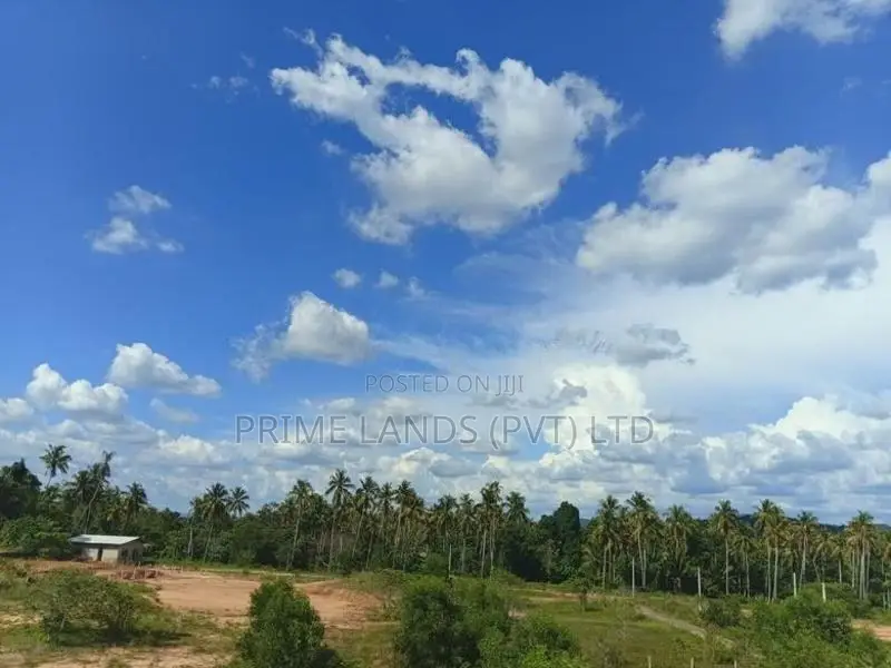 නාරම්මල නගරයට ආසන්නයේ ඉඩමක්