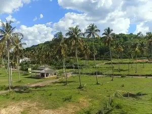 නාරම්මල නගරයට ආසන්නයේ ඉඩමක්
