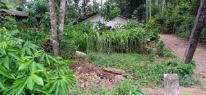 House with Land Kakanadura