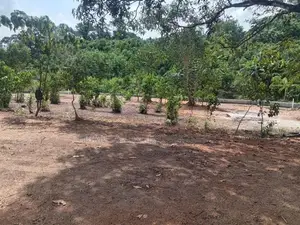 Land for Sale in Ambalangoda