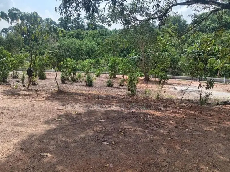 Land for Sale in Ambalangoda