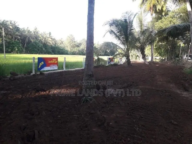 අනුරාධපුර බස් පාරින් ඉඩමක්