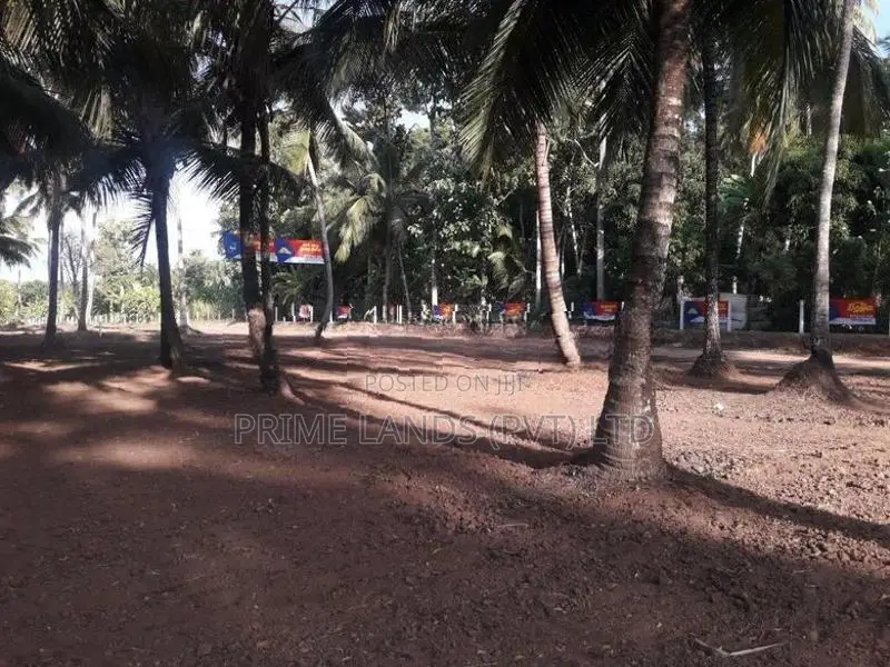අනුරාධපුර බස් පාරින් ඉඩමක්