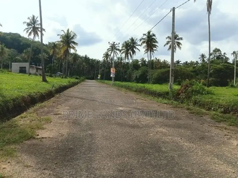නාරම්මල නගරයට ආසන්නයේ ඉඩමක්
