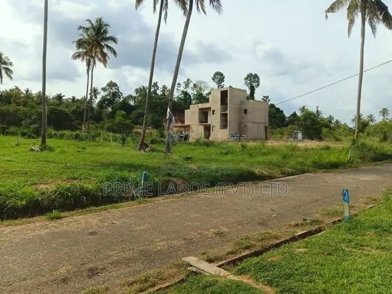 නාරම්මල නගරයට ආසන්නයේ ඉඩමක්