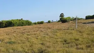 Land for Sale Jaffna