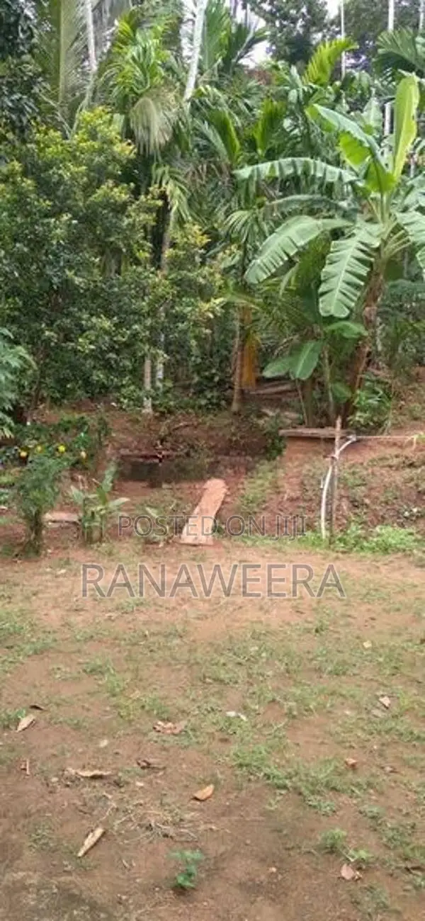 Land for Sale Hakmana