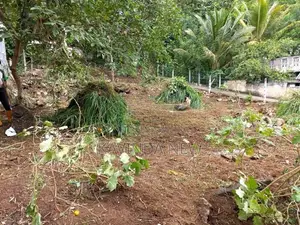 Flat Land for Sale in Kandy - Ampitiya