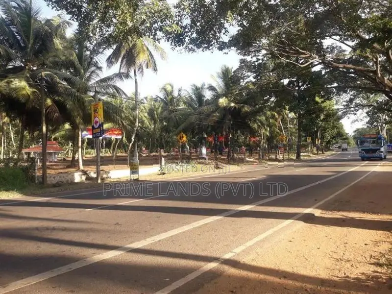 අඹගස්වැව සියලු පහසුකම් සහිතව පදිංචියට ඉඩමක්