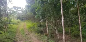 Land for Sale in Balangoda