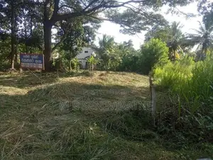 Land for Sale in Kurunegala Yanthampalawa
