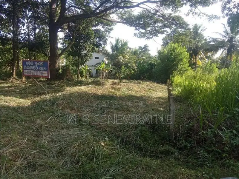 Land for Sale in Kurunegala Yanthampalawa