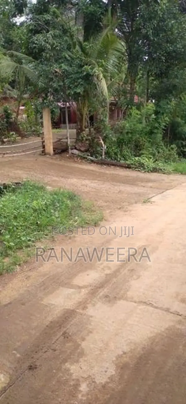 Land for Sale Hakmana