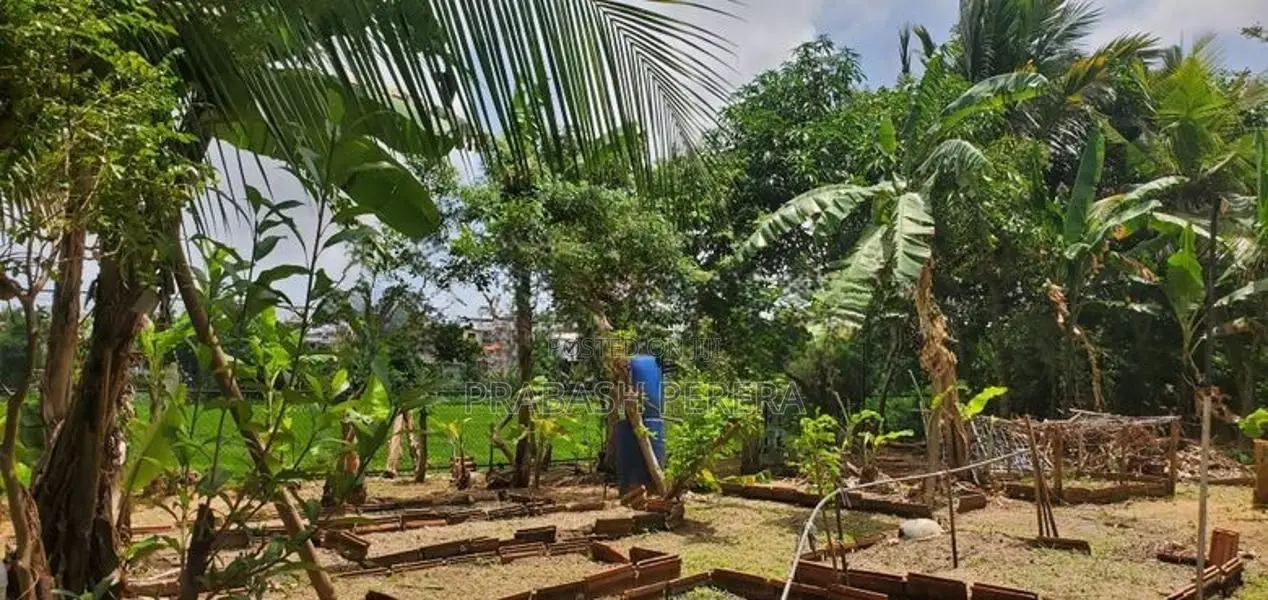 Excellent Land for Sale in Maharagama