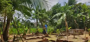 Excellent Land for Sale in Maharagama